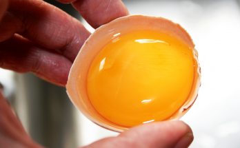 Lòng đỏ trứng gà có tác dụng kháng bệnh